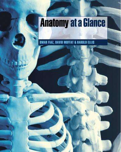 Anatomy at a Glance - Omar Faiz