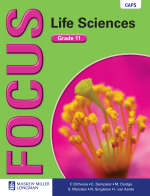 FOCUS LSCI GR 10 LB SECONDHAND - LS-GR10