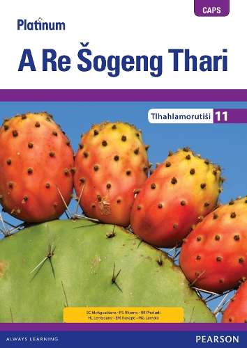 Platinum a re sogeng thari CAPS: Gr 11: Teacher's guide - S.C. MokgoatAiana