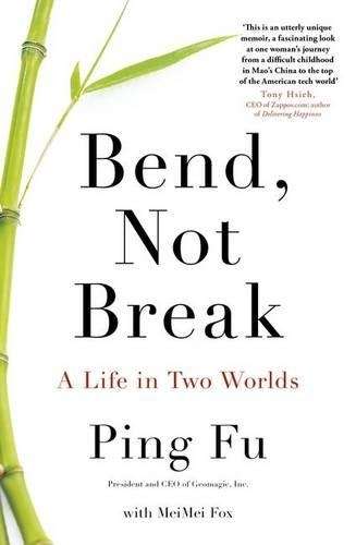 Bend Not Break - Ping Fu