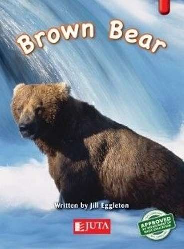 Brown Bear: Gr 1 Higher level - Red - JUTA