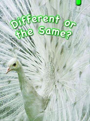Different or the Same: Gr 3 Green - JUTA