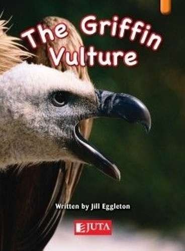 The Griffin vulture - JUTA