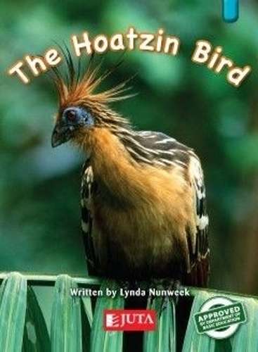 The Hoatzin Bird - JUTA