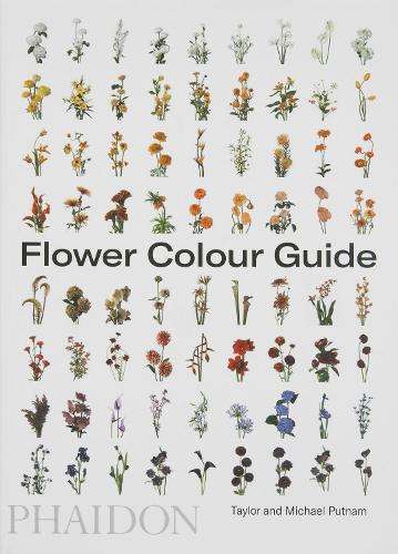 Flower Colour Guide - Taylor Putnam