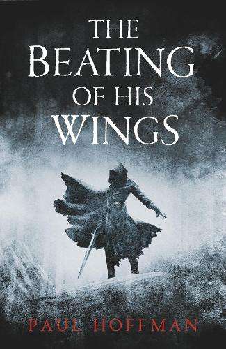 The Beating of his Wings - Paul Hoffman