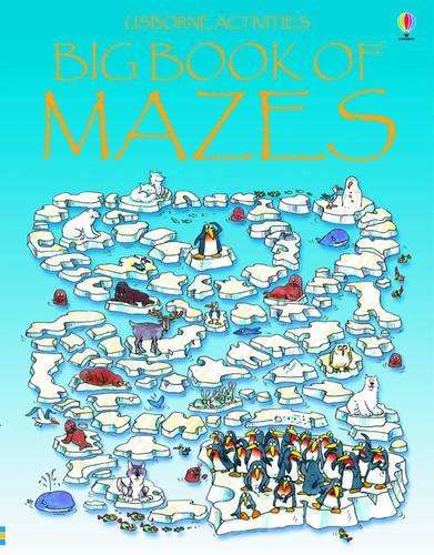Big Book of Mazes - Jenny Tyler
