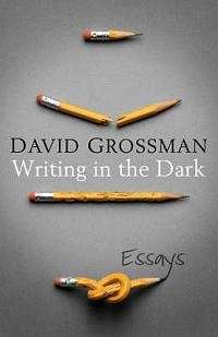Writing in the Dark - David Grossman