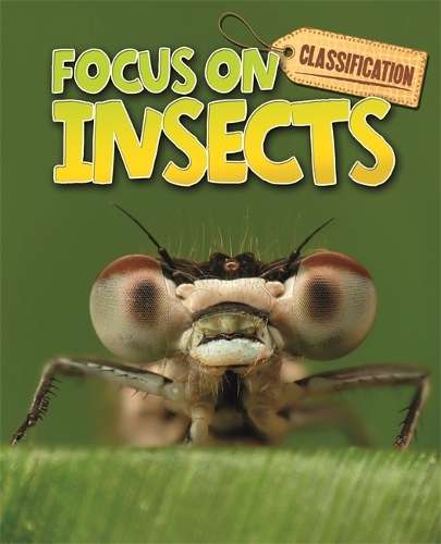 Classification: Focus on: Insects - Stephen Savage