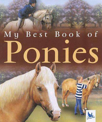 My Best Book of Ponies - Jackie Budd
