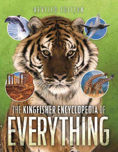The Encyclopedia of Everything - Sean Callery