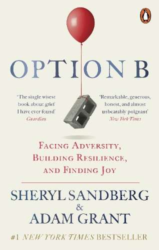 \Option B: Facing Adversity - By (author)"