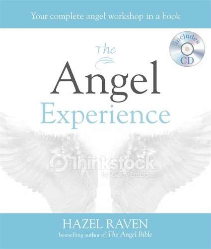 The Angel Experience - Hazel Raven