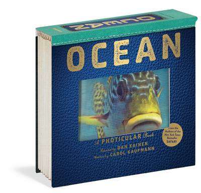 Ocean - Dan Kainen