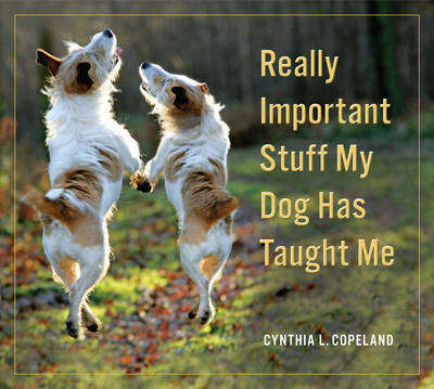 Really Important Stuff My Dog Has Taught Me - Workman Publishing