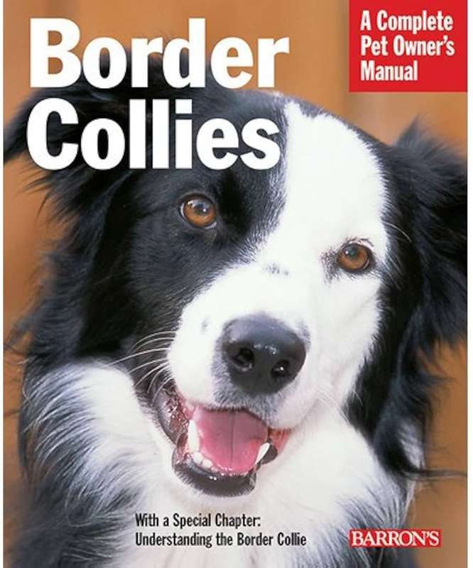 Border Collies - Michael DeVine