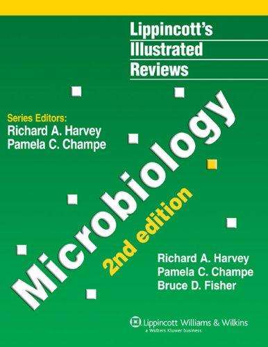 LIPPINCOTTS ILLU MICROBIOLOGY SECONDHAND - HARVEY,R