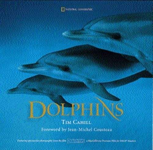 Dolphins - Tim Cahill