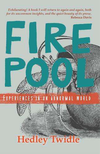 Firepool - Hedley Twidle
