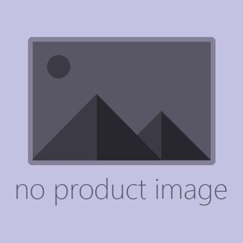 Shuters English : Grade 1 : Teacher's Guide - ENG-GR1