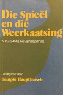 Die Spieel En Die Weerkaatsing - HAUPTFLEISCH,T