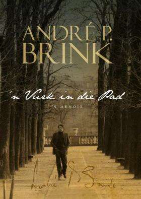 N Vark in die pad SECONDHAND - Andre P. Brink