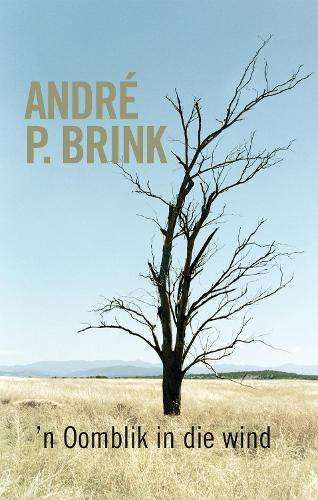 n Oomblik in die Wind - Brink, Andre P.