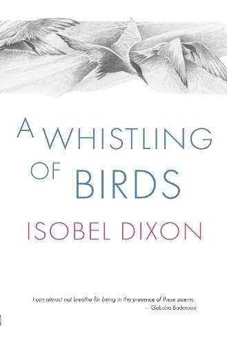 \Whistling of Birds - N"