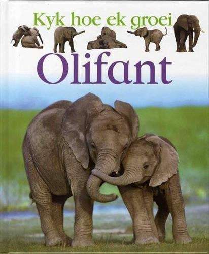 Olifant - Lisa Magloff