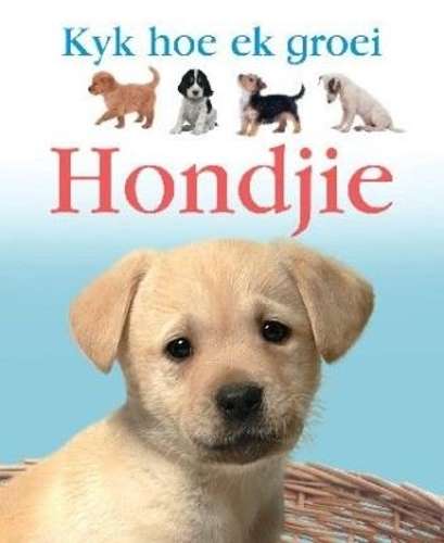 Hondjie - Lisa Magloff