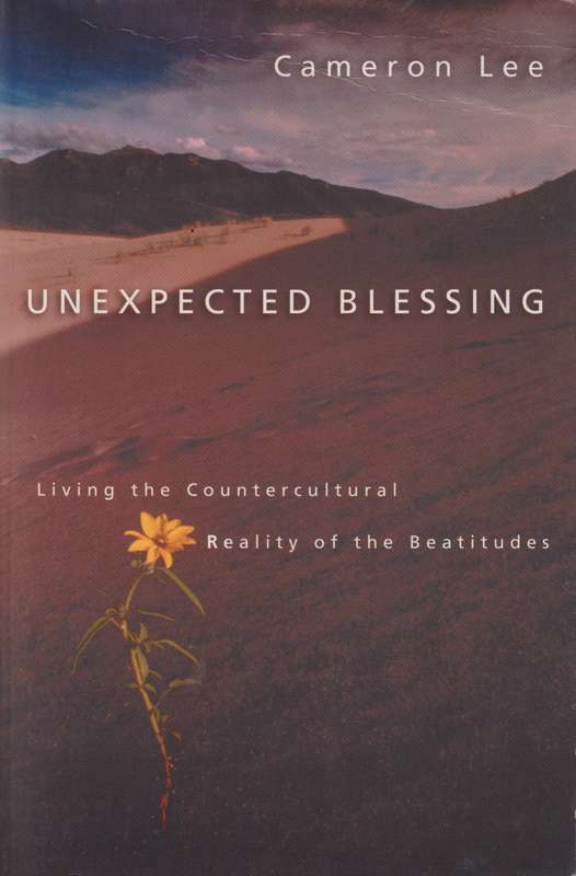 Unexpected Blessing - Cameron Lee
