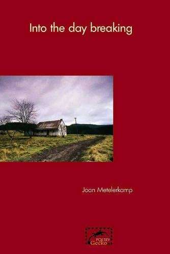 Into the day breaking - Joan Metelerkamp