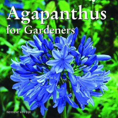Agapanthus for Gardeners - Hanneke Van Dijk