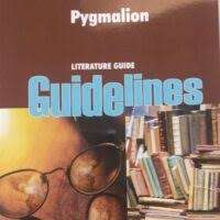 PYGMALION SG - GUIDELINES