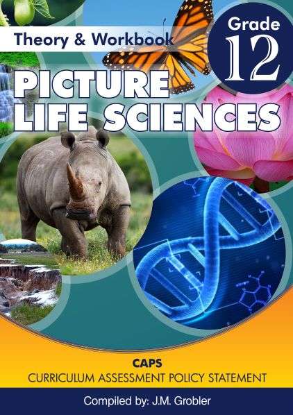 PICTURE LIFE SCIENCE GR12 WB - LS-GR12