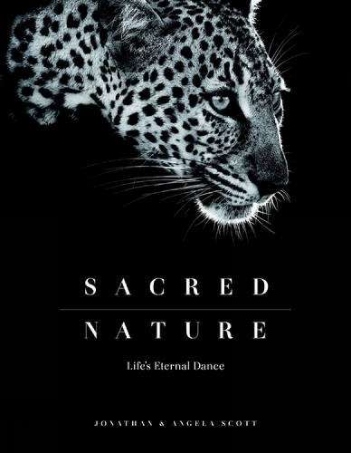 Sacred Nature - Angela Scott