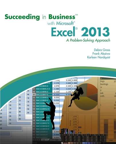 Succeeding in Business with Microsoft (R) Excel (R) 2013 - Frank Akaiwa