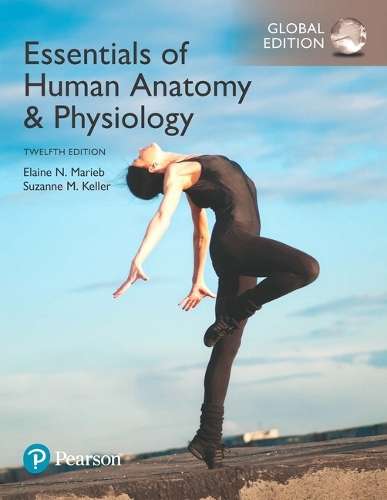 Essentials of Human Anatomy & Physiology Global Edition - Elaine N. Marieb