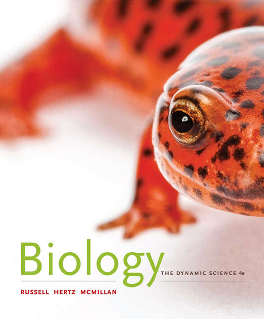 BIOLOGY THE DYNAMIC SCIENCE SECONDHAND - RUSSELL,PJ