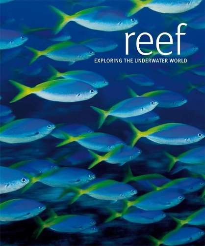 Reef - Scubazoo