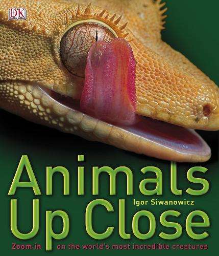 Animals Up Close - DK