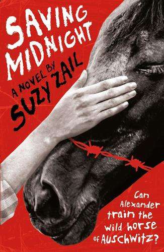 Saving Midnight - Suzy Zail