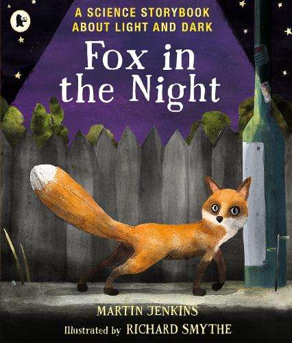 Fox in the Night: A Science Storybook About Light and Dark - Martin Jenkins