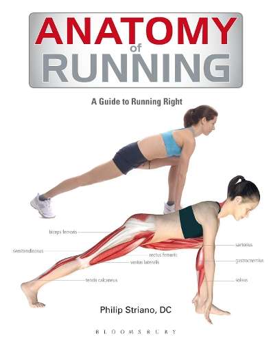 Anatomy of Running - STRIANO,P