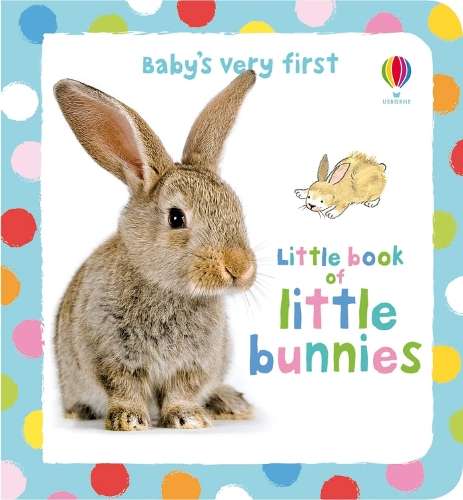 Baby's Very First Little Book of Little Bunnies - Antonia Miller