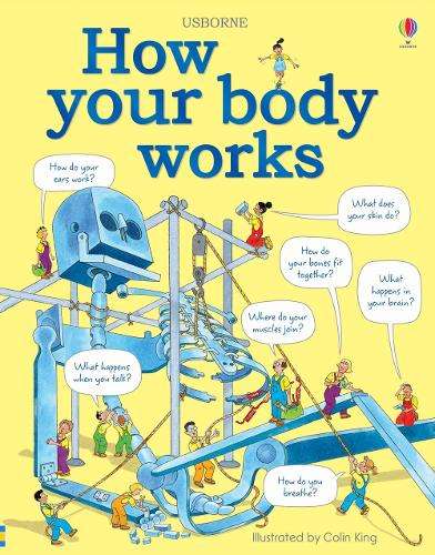 How your body works - Judy Hindley