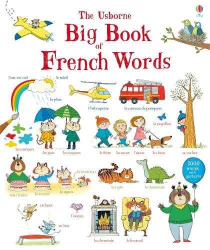Big Book of French Words - MACKINNON,M