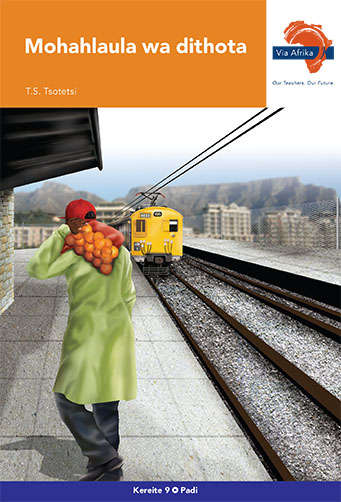 Via Afrika Sesotho CAPS: Gr 9: Novel - T.S. Tsotetsi
