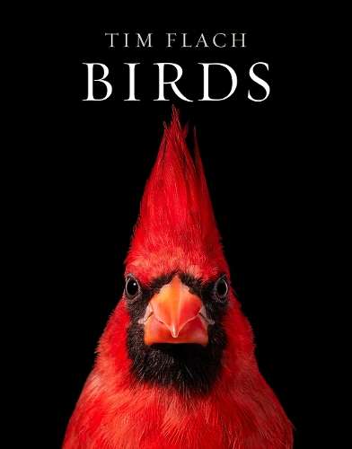 Birds - Tim Flach