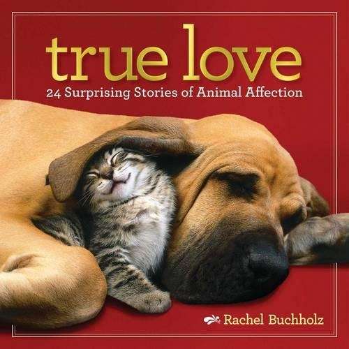 True Love - Rachel Buchholz